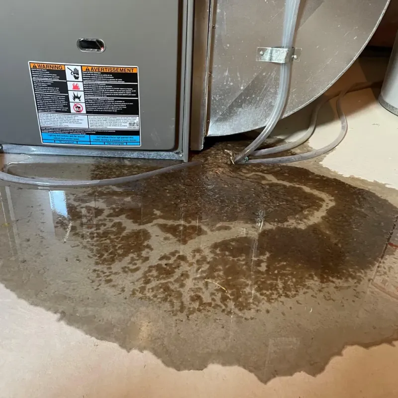 Appliance Leak Cleanup in Pinson, AL